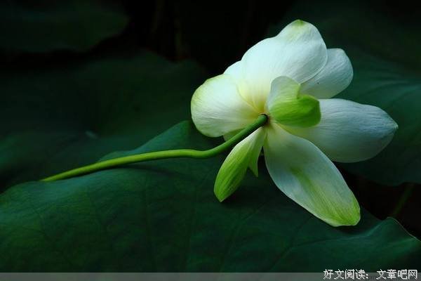 不争（深度好文） 