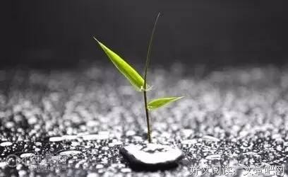 那些越过越好的人生，都是因为多熬了一步 