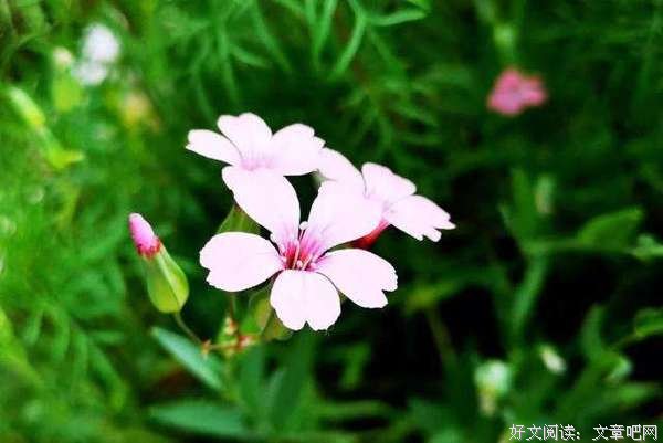 从细节看穿一个人 