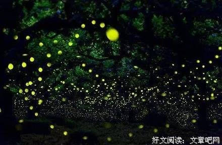 心若年轻，又何惧岁月老去 