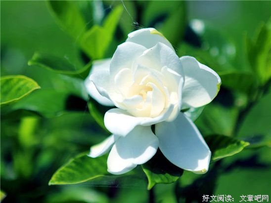 人干净，心才贵（深度好文） 