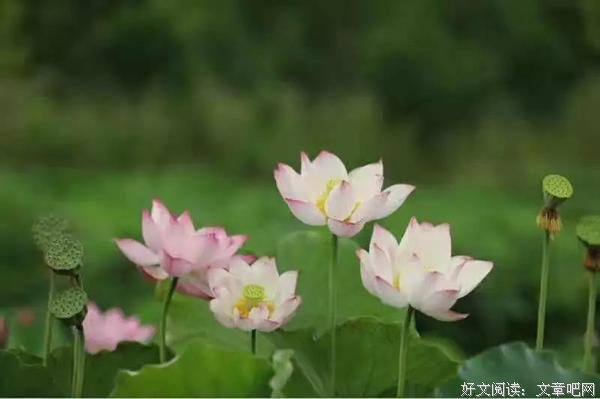读书养身 