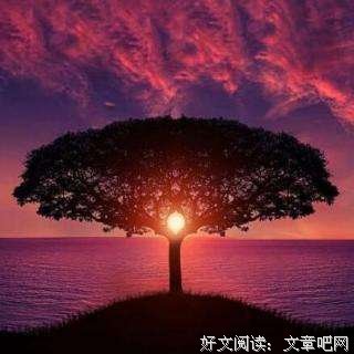无法重来的一生，好好爱自己 