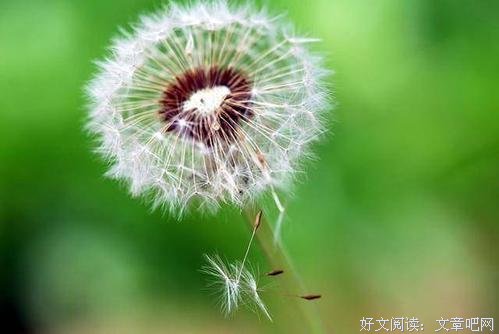 学会做自己心情的主人 