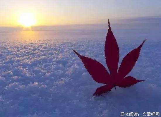 余生，往事清零，爱恨随意 