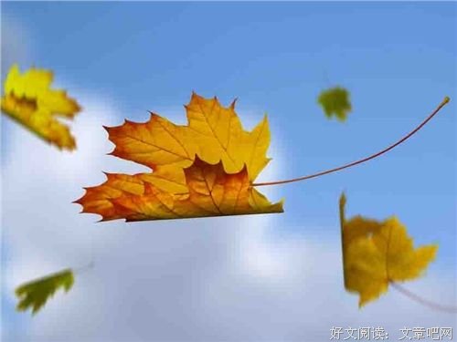 生命的美丽，在于顺其自然 