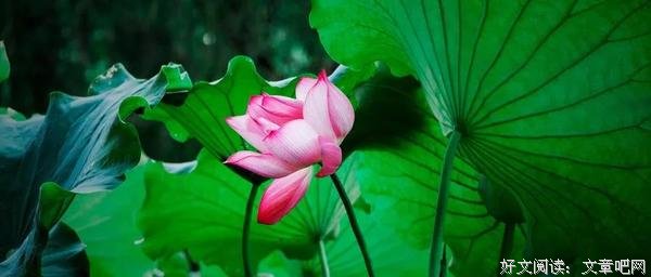 庄子：孤独方能出众，而不是合群 