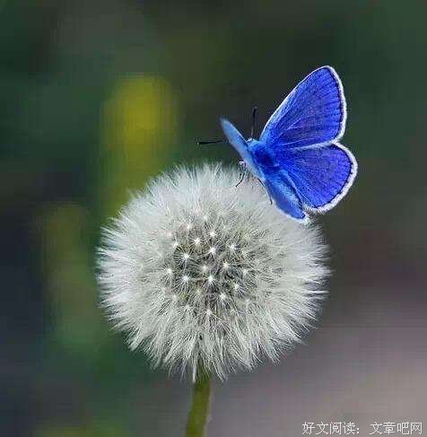 生命的美丽在于顺其自然 