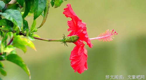 生命里的遇见，都是命中注定 