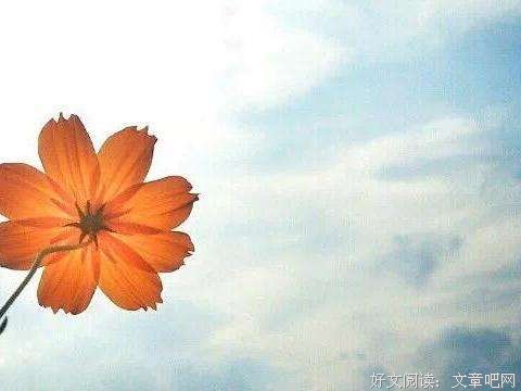 让缺憾，成为人生的美 