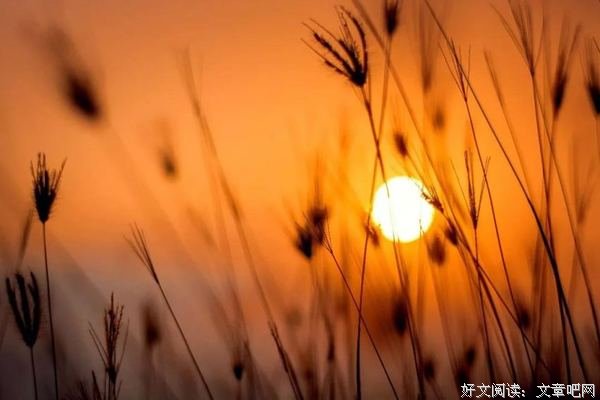 人生懂得放下，岁月自会静好 