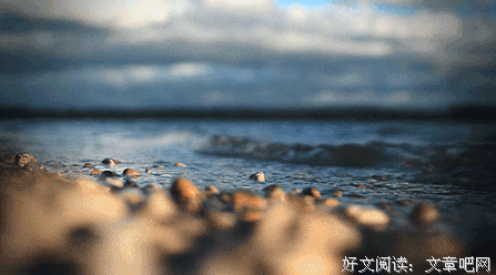 你人生最大的弱点就是：太重感情，不识人心 