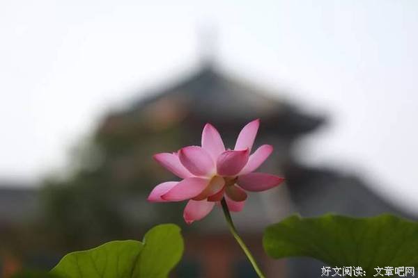 低调的人，都活得通透 