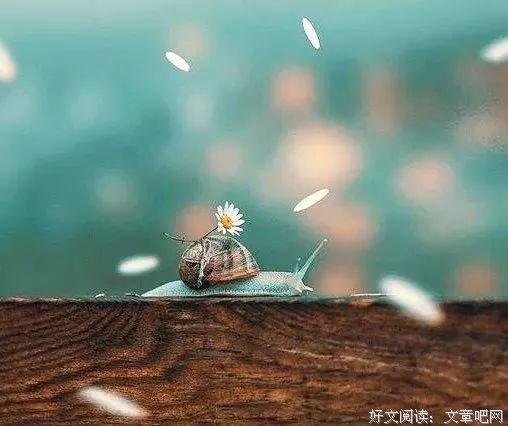 放弃，不将就 