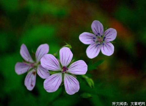 过去的我们要懂得放下 