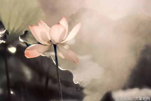 人生有苦有乐，有得有失 