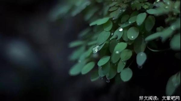 有趣的灵魂都有静气 