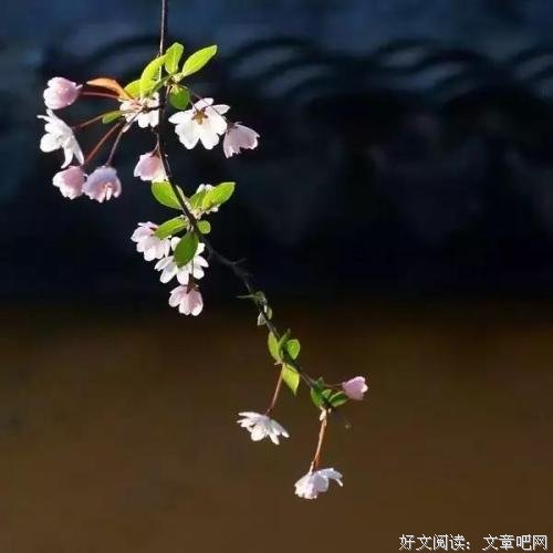 睡前原谅一切，醒后不问过往 