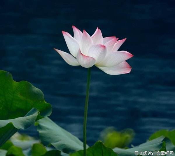 累了，就放下过去，让心归零 