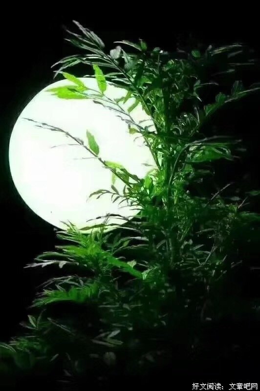 八十年代那些恍如隔世的往事 