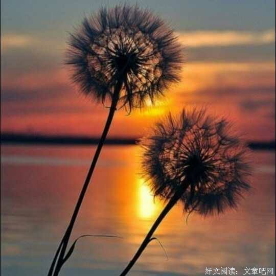 谁的人生，不是一边失去，一边拥有 