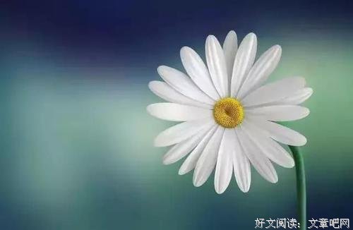 人心简单就快乐，生活简单就幸福 