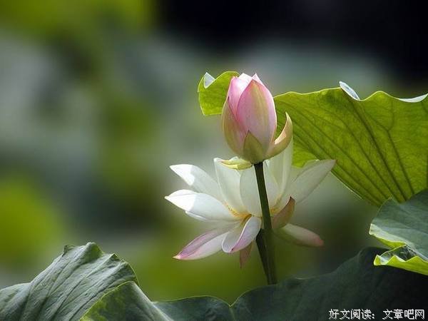 做一个简单快乐的人 