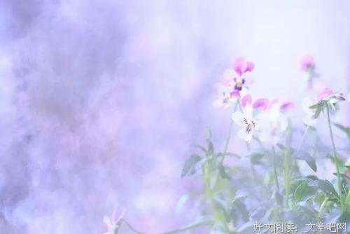 人生要懂得珍惜 