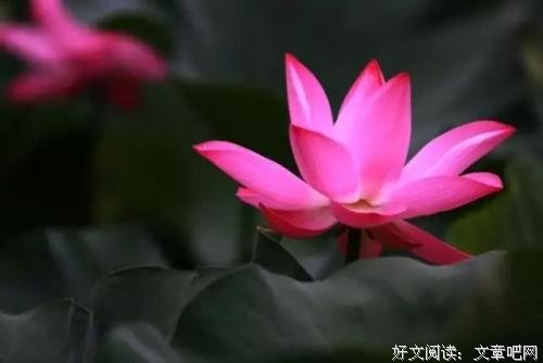 生命是一场懂得 
