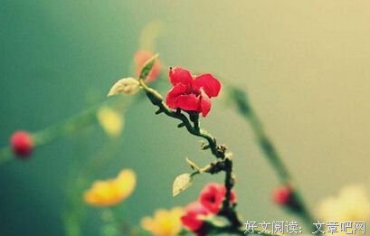 真正的智慧，是懂得及时放弃 