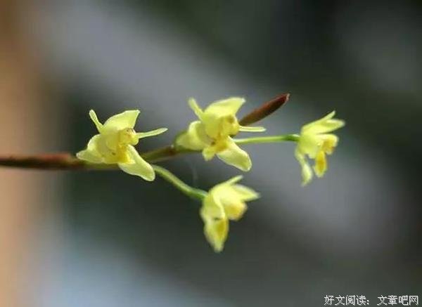 若能如此老，老了又何妨 