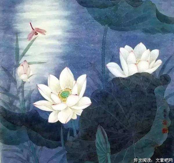 抱朴守拙，最稳健的进取之道 