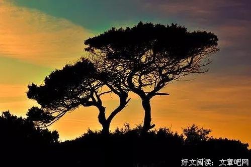 人生最难的，莫过于原谅自己 
