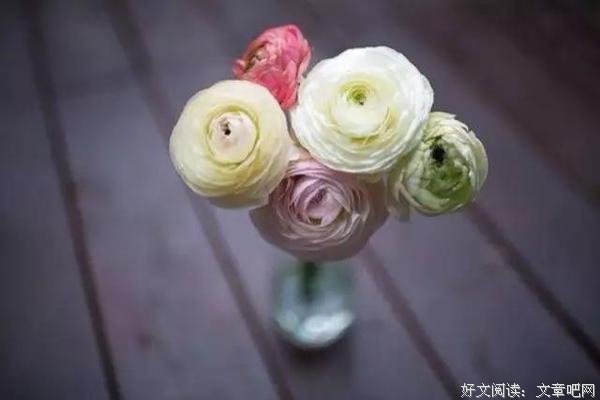 父亲是种岁月 