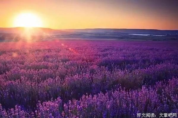 世上最凄美的一封情书！（泪湿衣衫） 