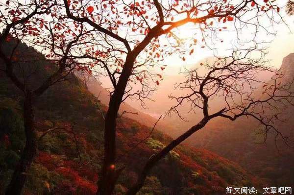 小三劝退师：报复性出轨，差点让她一无所有 