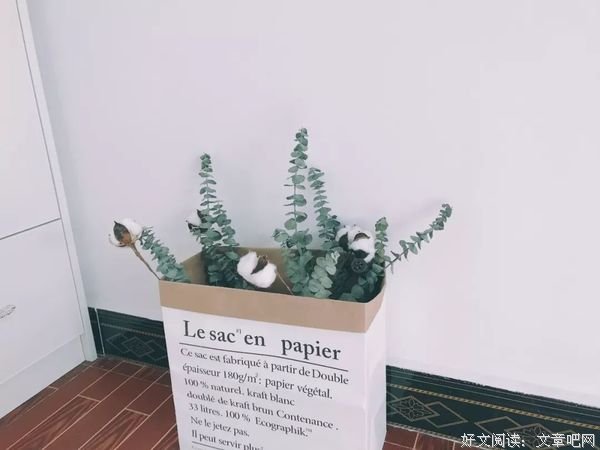 2019结婚成本超200万：没钱，你结什么婚？ 