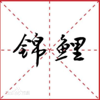 2018十大流行语