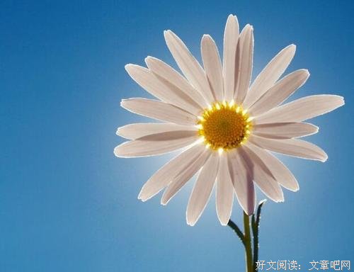 六万人确诊，上亿人禁足：疫情，给了所有人三个信号 