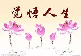 苦 才是人生