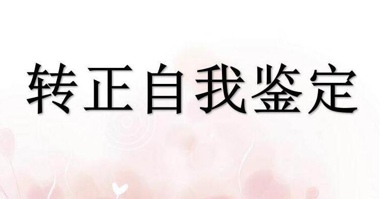 试用期自我鉴定写法与示例
