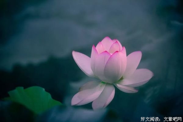 这场疫情，带给世人的5点启示 