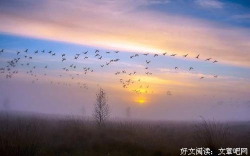人在什么时候最明白？（深刻） 