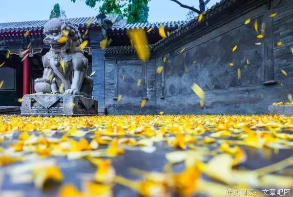生存法则变了！你再不懂就彻底晚了！ 